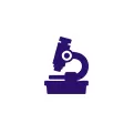 Laboratory Area