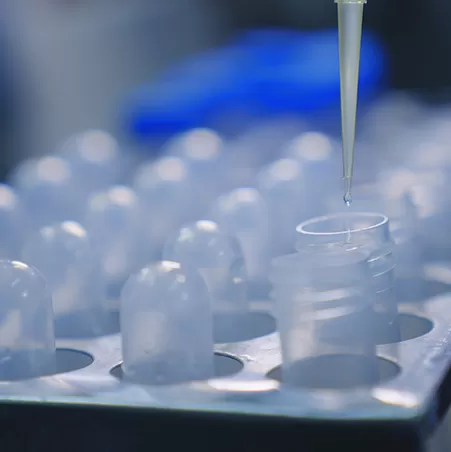Laboratory