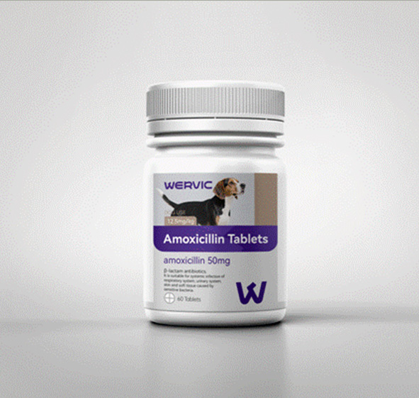 Amoxicillin chewable tablets for Cat and Dog