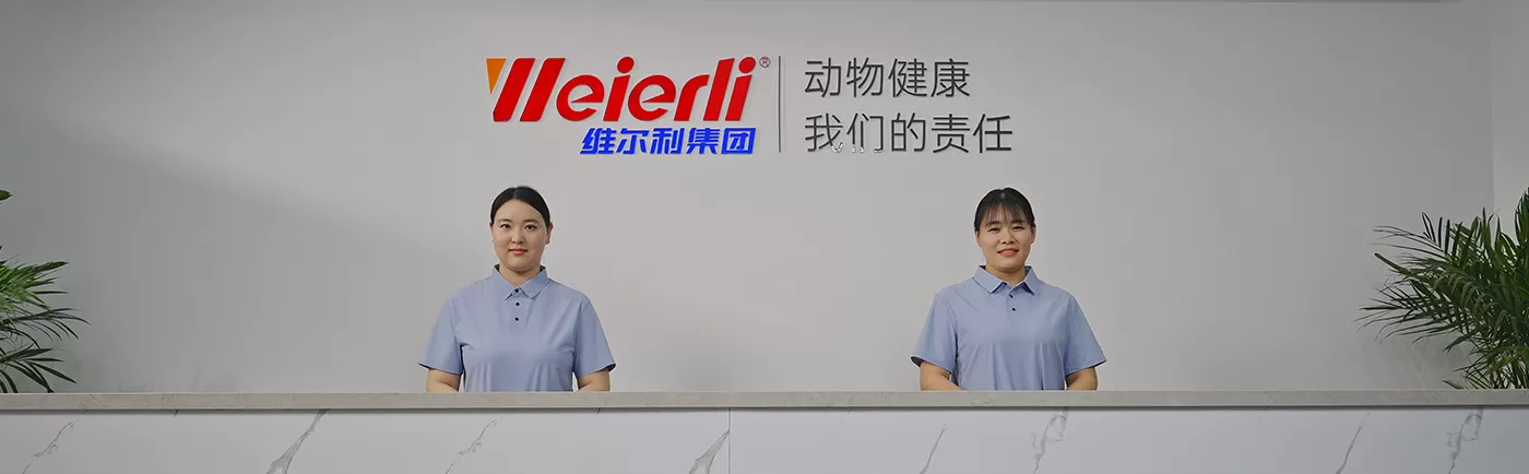 WERVIC, Your Reliable Partner