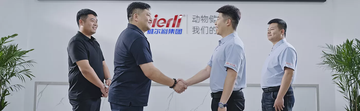 WERVIC, Your Reliable Partner