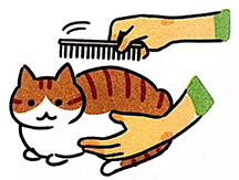 The importance of hair remedy cream for cats
