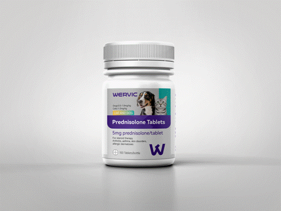 Prednisolone tablets