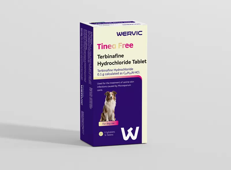 Terbinafine Hydrochloride Tablets