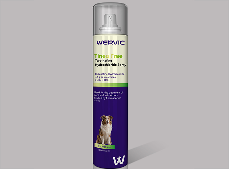 Terbinafine Hydrochloride Spray