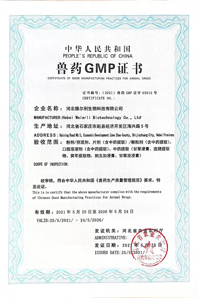 China New GMP Certificate