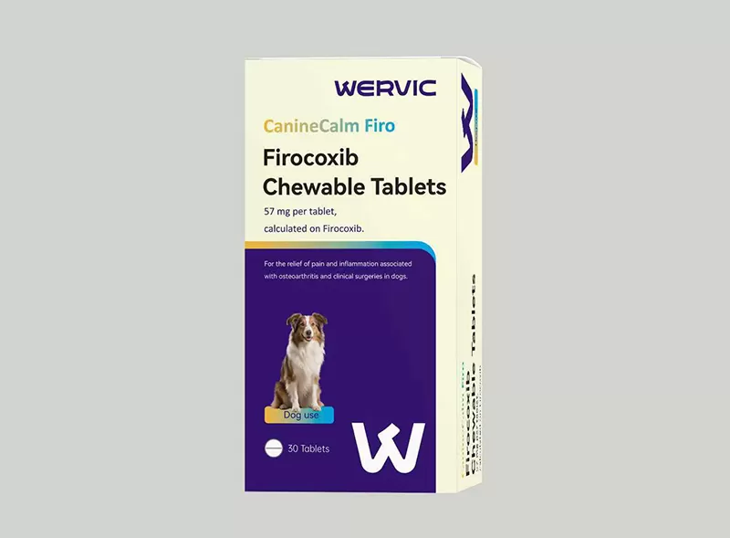 Pet Firocoxib Chewable Tablets for Dogs and Cats