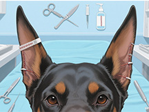 Dog Ear Cropping Guide: Everything Breed Owners & Pet Care Brands Need to Know