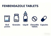 Fenbendazole: A Complete Guide for Dogs and Cats(1)