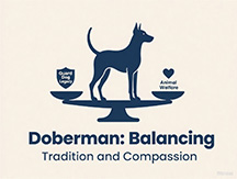 Dog Tail Cutting Technique Everything You Need to Know from Tradition to Controversy