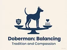 Dog Tail Cutting Technique Everything You Need to Know from Tradition to Controversy