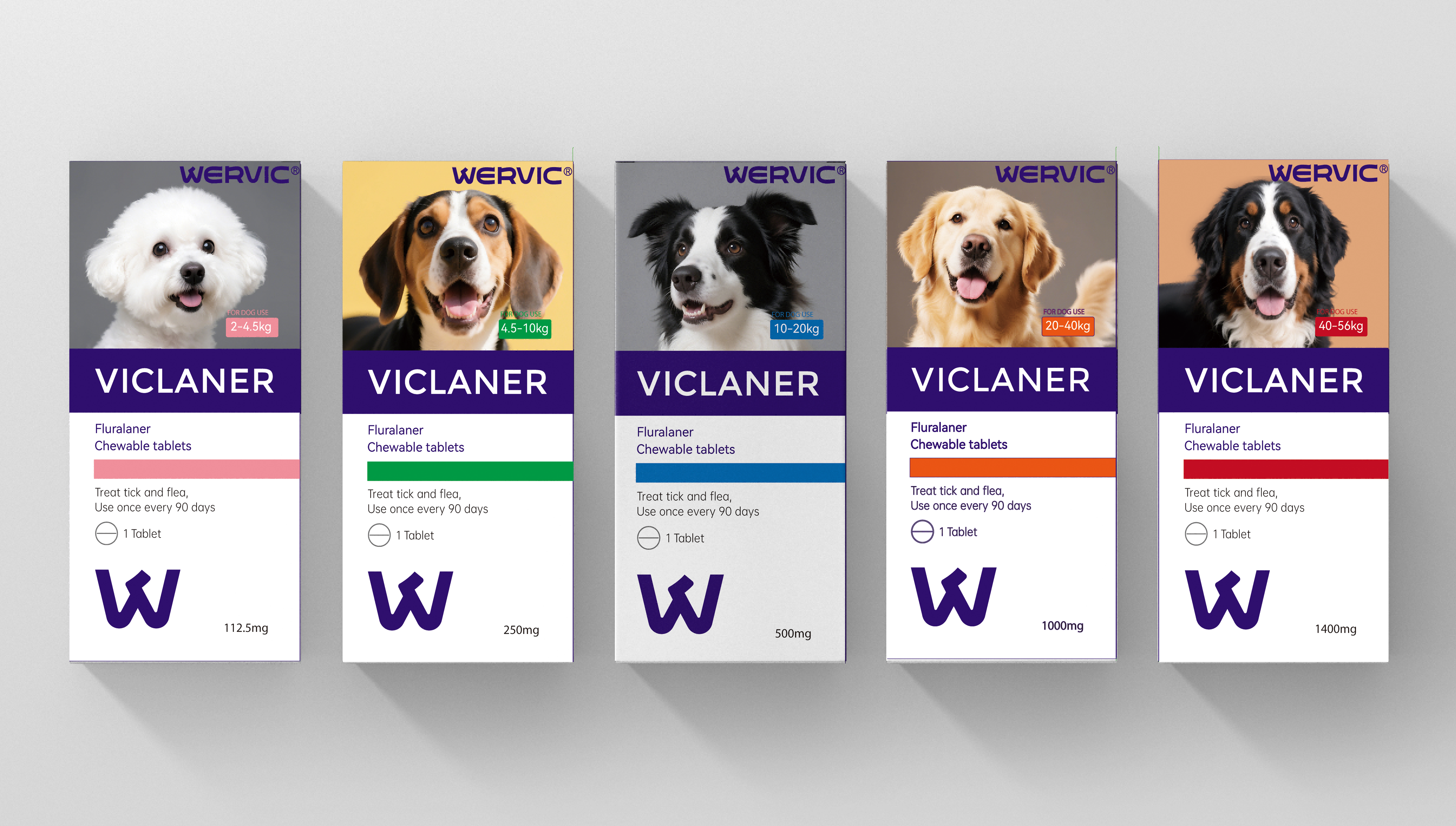 ci全规格 灰色(1)