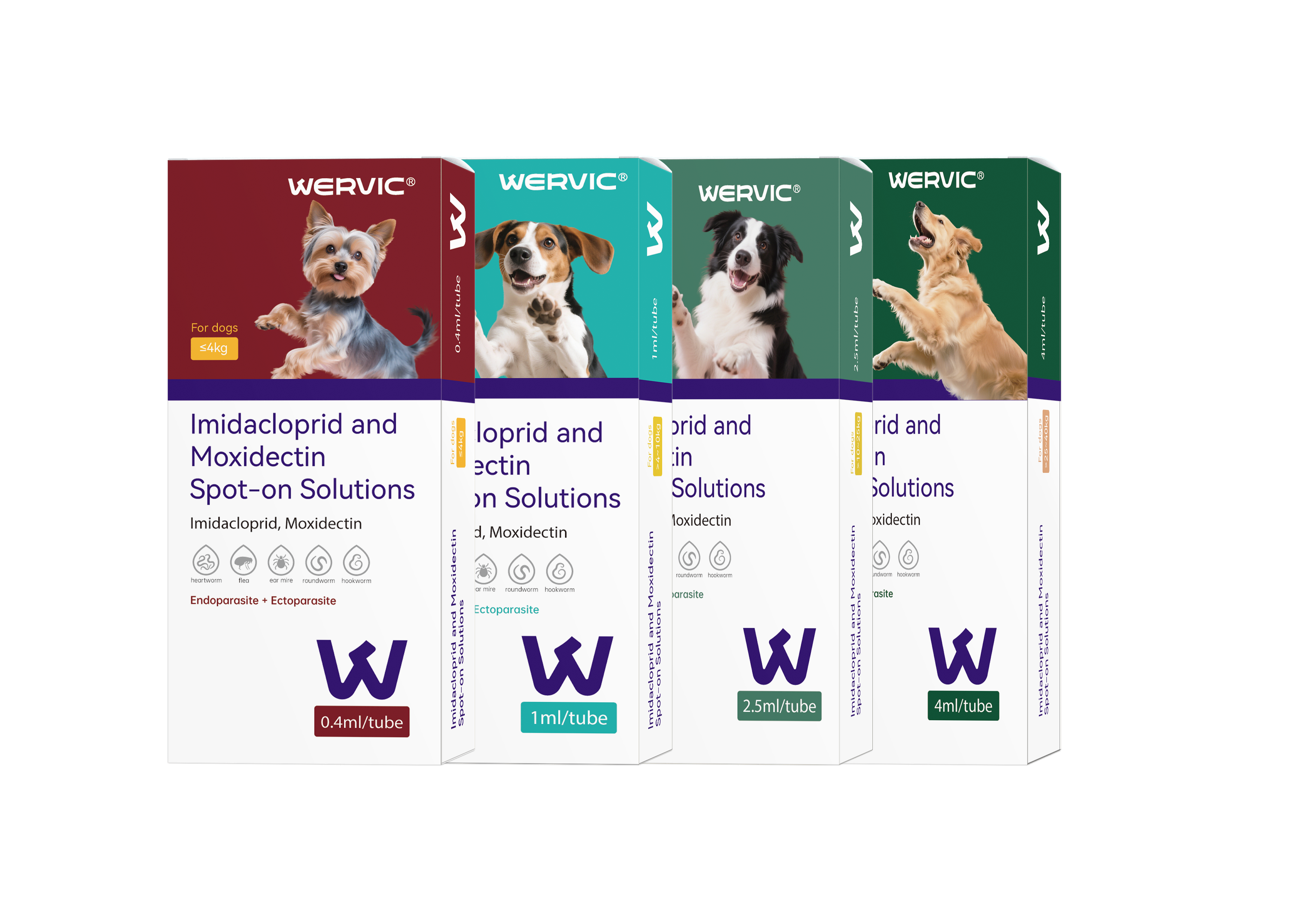 狗吡虫啉 无阴影