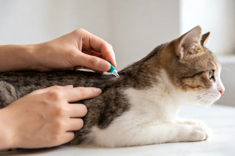 新闻图片生成指令 (1300)