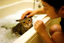 Common Pet Deworming Misconceptions: Does Bathing After Topical Treatment Render It Ineffective?