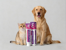 How to Choose the Right Probiotics for Dogs & Cats? A Professional Guide by WERVIC