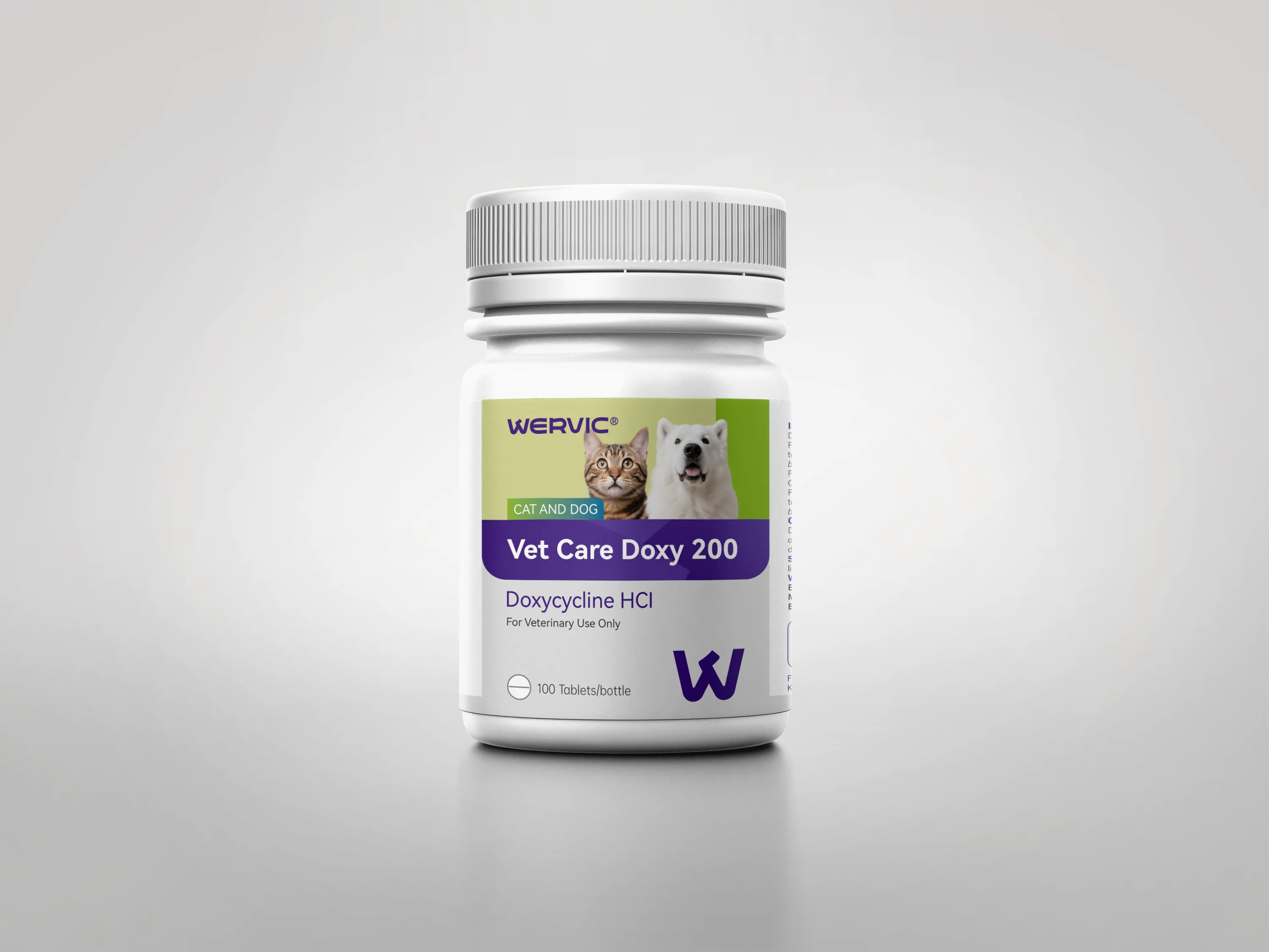 Understanding Antibiotic Resistance in Companion Animals